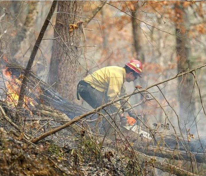 Person in the woods near Marion, NC trying to stop a small fire