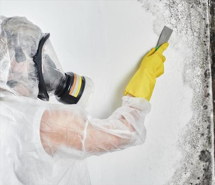 Technician in PPE removing mold from wall in Marion, NC