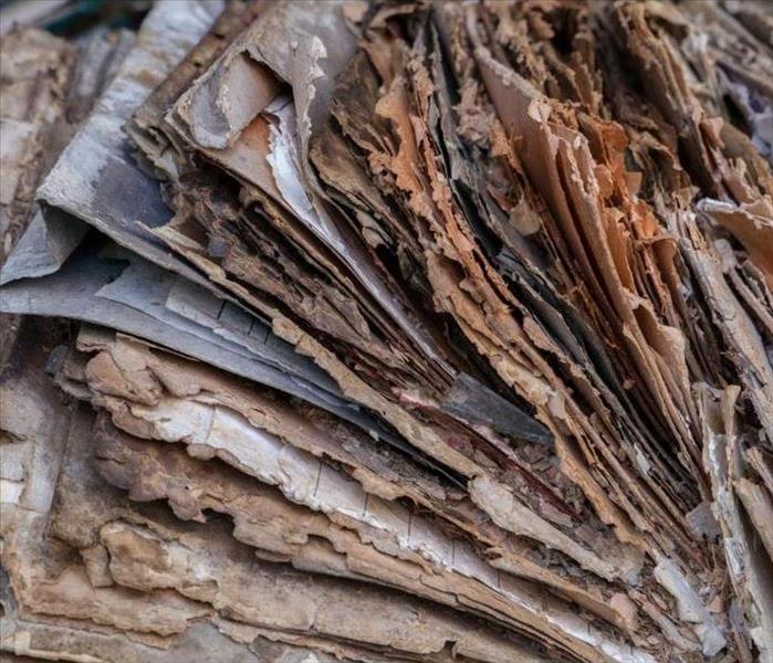 Close-up image of weathered documents - aged file folders and sheets of paper inside them - exposed to elements and damaged b
